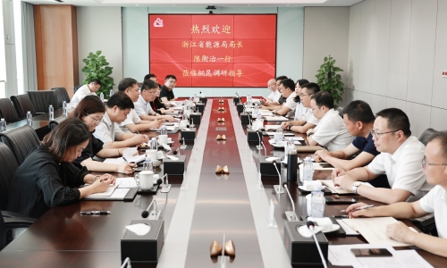 浙江省能源局局长陈衡治莅临腾博会官网调研