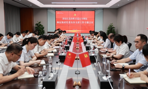 深化红色治理 打造百年腾博会官网丨腾博会官网集团党委及各支部事情专题聚会胜利召开！！