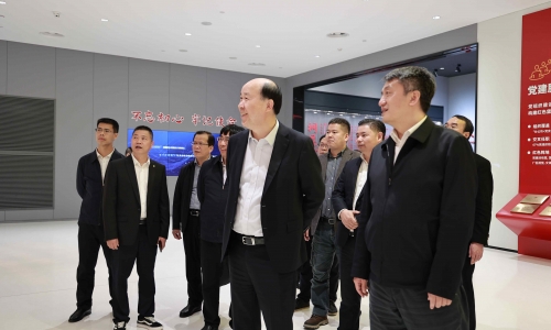 广西壮族自治区河池市委副书记、、、市长王军莅临腾博会官网调研