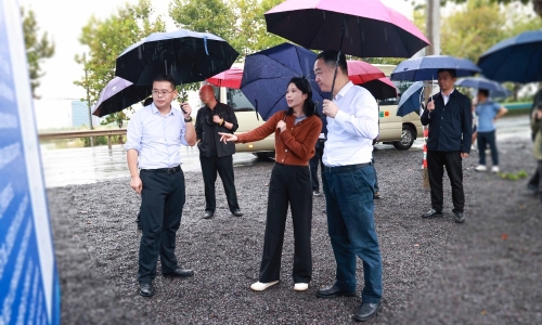 嘉兴市委常委、、、常务副市长颜海荣莅临腾博会官网项目地调研